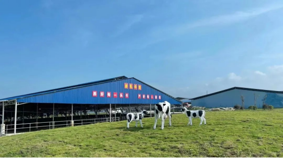 奶源建設(shè)再提速！田東縣皇氏奶業(yè)示范區(qū)正式投產(chǎn)！