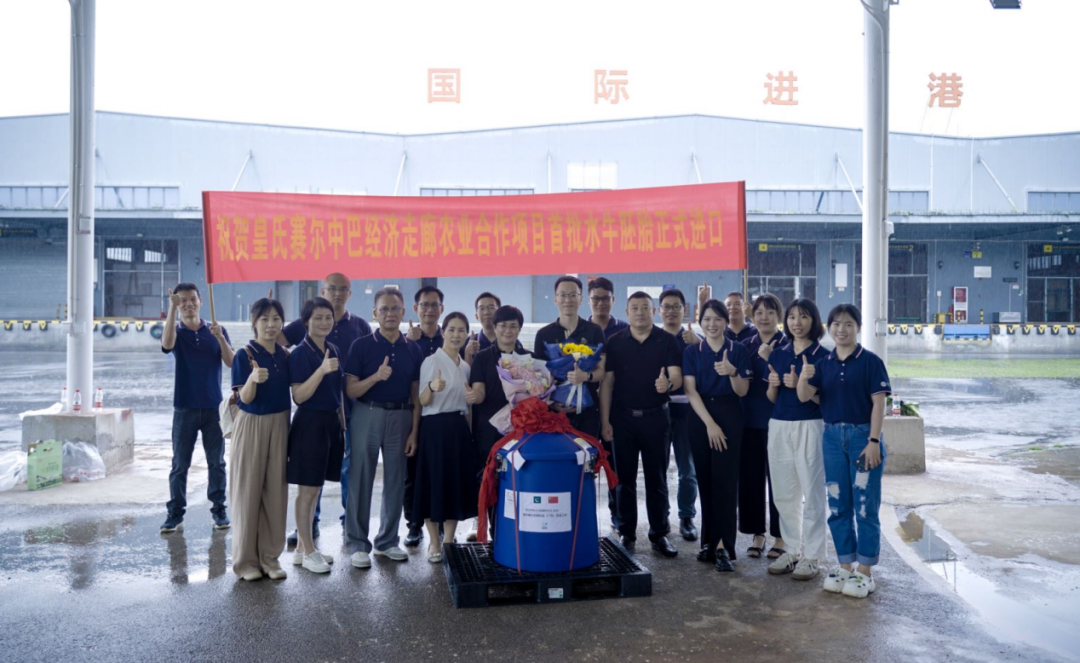 重磅！全國(guó)首批5000枚進(jìn)口巴基斯坦優(yōu)質(zhì)奶水牛胚胎入境，第一時(shí)間落戶皇氏集團(tuán)投入奶水牛改良繁育生產(chǎn)